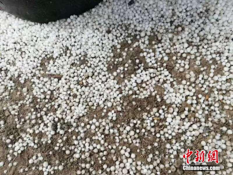 不会PS拿什么和同龄人拼