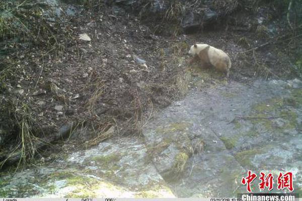PUSH已进入人工审核流程