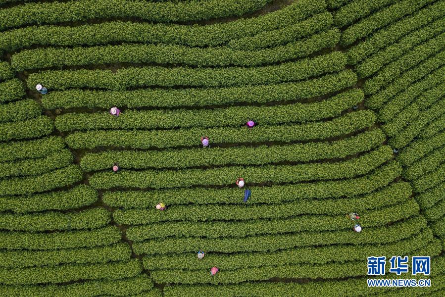 PUSH已进入人工审核流程_挂机宝远程连接