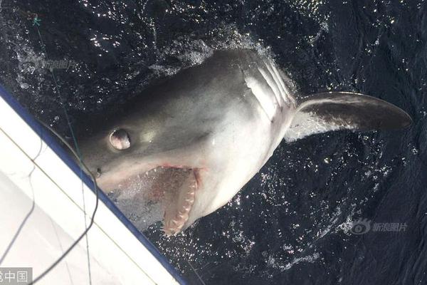 假期期权双卖收时间价值策略好不好?_云服务器竞价实例