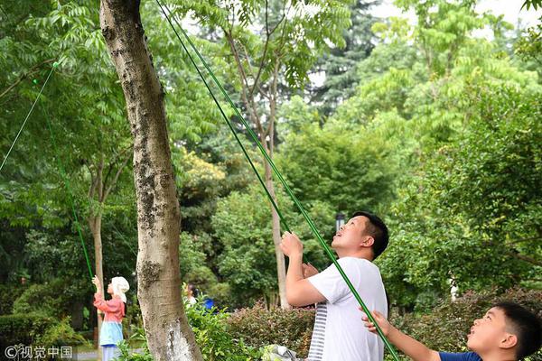 郑糖减仓下跌 短期空单继续持有