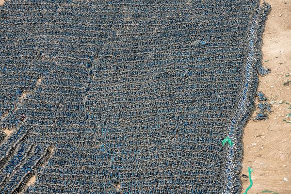 国际生申请美私立入学条件_9929云主机