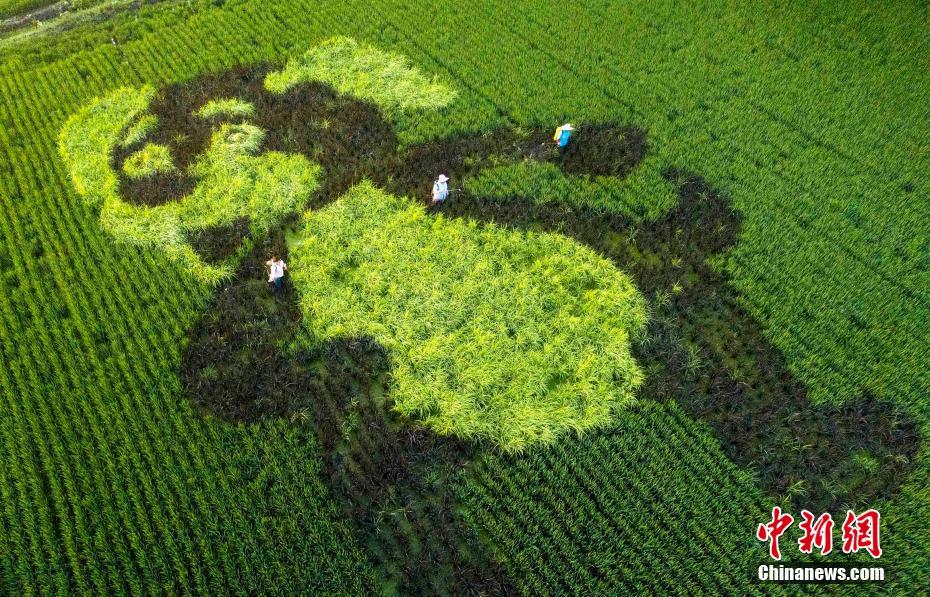 云服务器 什么配置合适_云桌面