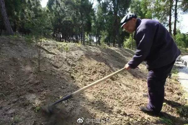 古代婚姻:提倡妇女守节起自于何时?_西南云服务器