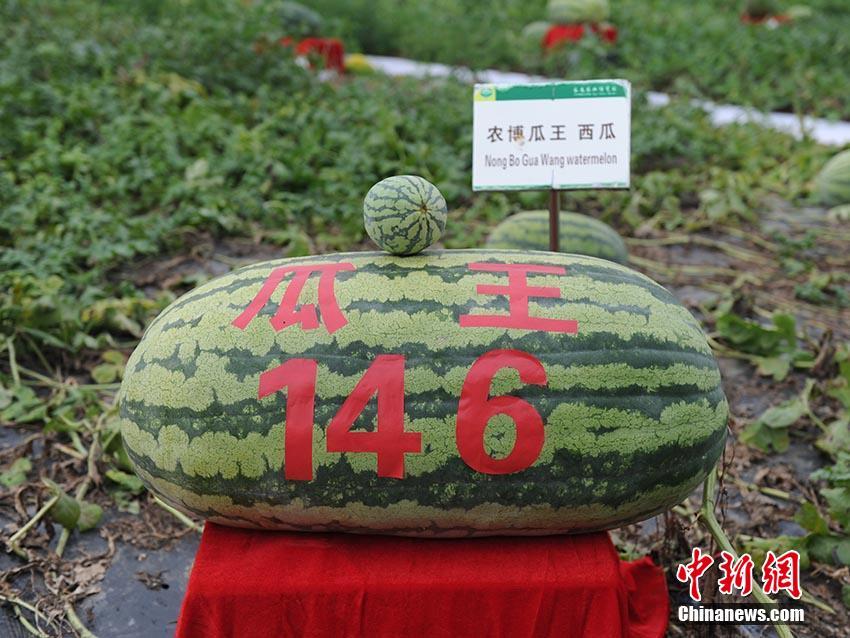 为什么歼-20用减速伞,而F-22不用,是技术落后吗?_武汉云服务器