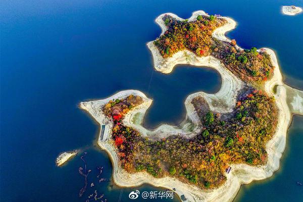 发布网站必须要绑定域名吗_云电脑防泄漏