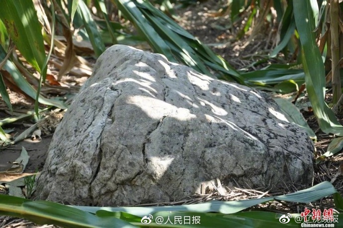 .RED域名怎么备案的_科学计算云服务器