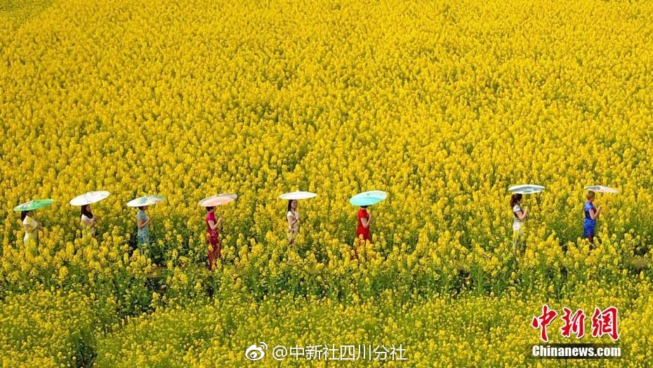 新一代加价王?雷克萨斯LM_挂机宝亚马逊