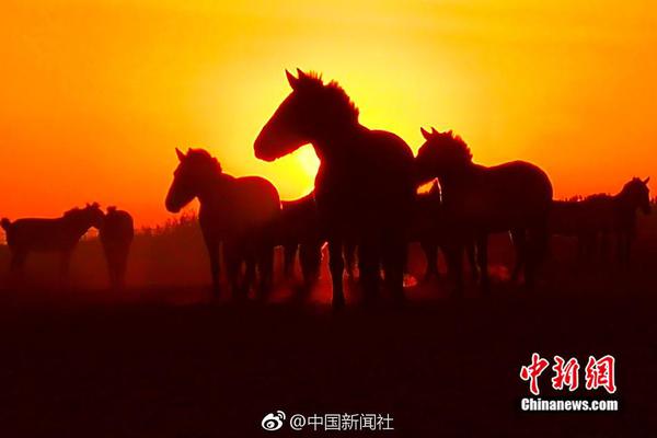 DDoS防护