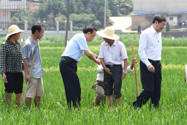 菲律宾一城镇禁“聊八卦” 镇长:可改善生活质量