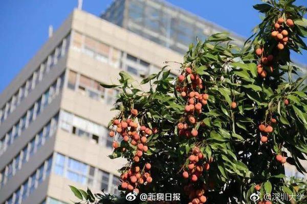 一口价域名店铺是什么