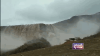 SHOP域名