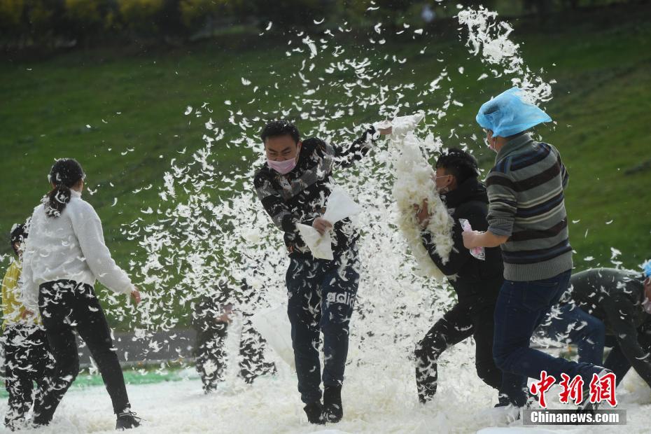 电鳗如何杀死一匹马?_设计云电脑