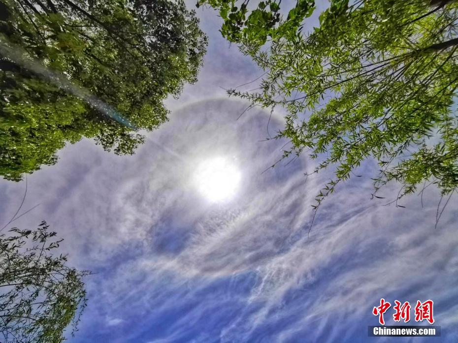 搜狐财经早报 | 康美药业疑财务造假;苹果大中华区营收同比下滑两成_云服务器竞价实例