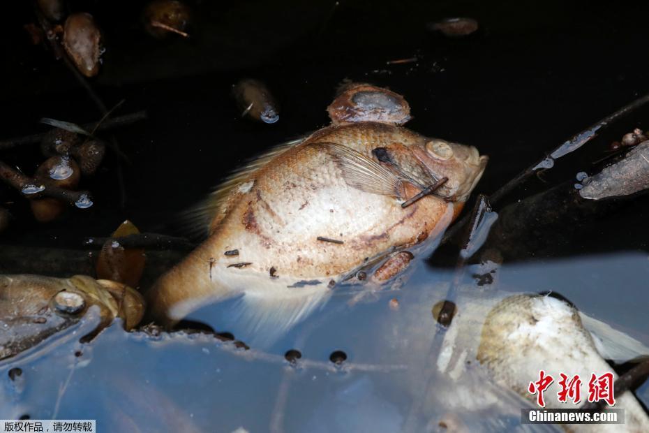 微博微信淘宝豆瓣眼中的你，哪个最真实