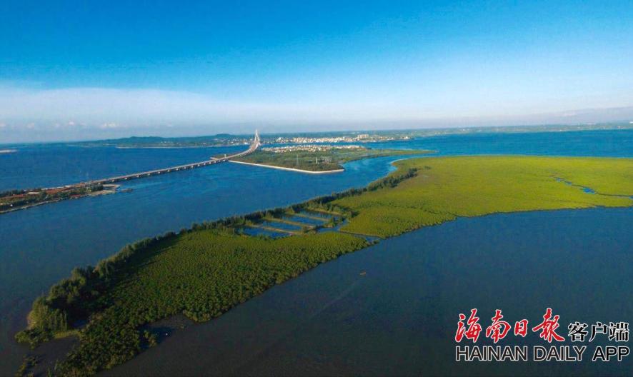 XYZ域名是什么意思