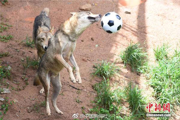 汇源自救方案公布 可口可乐没做成的事被它实现_挂机宝端口转发