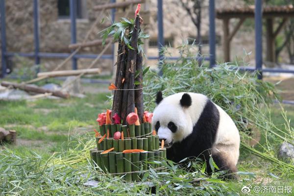 爱拍周选:让你看到最新鲜照片_CN2服务器对比