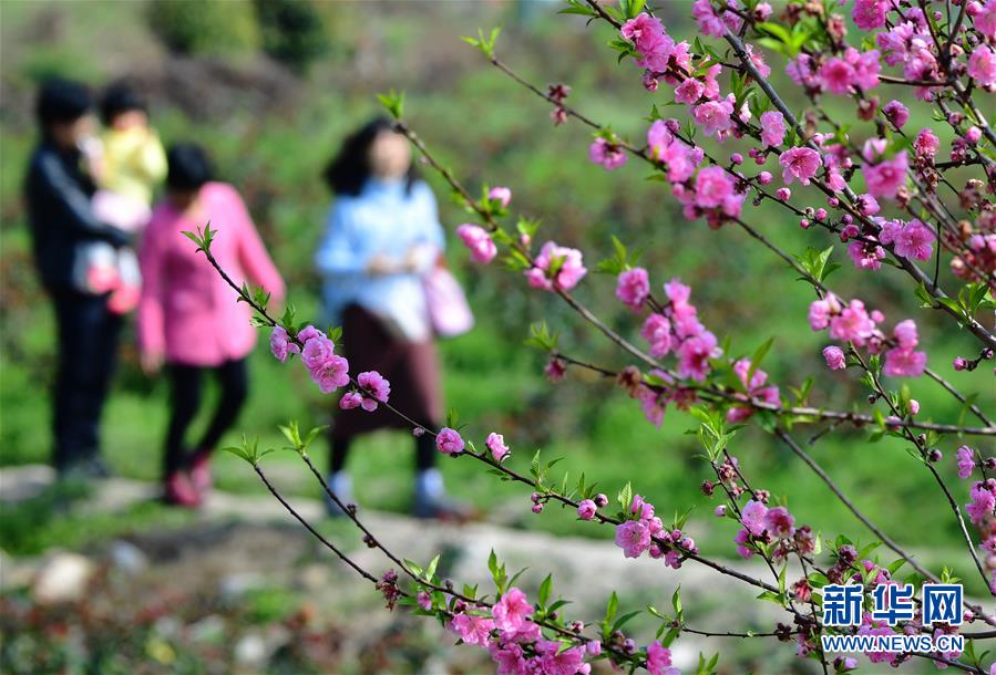 哈登眼部戳伤仍砍29分 这一战他是否让你想起老詹?