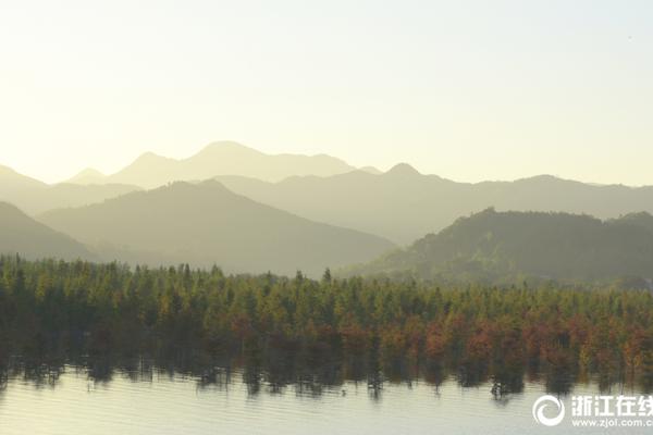 一汽夏利牵手南京博郡 合资打造新能源汽车