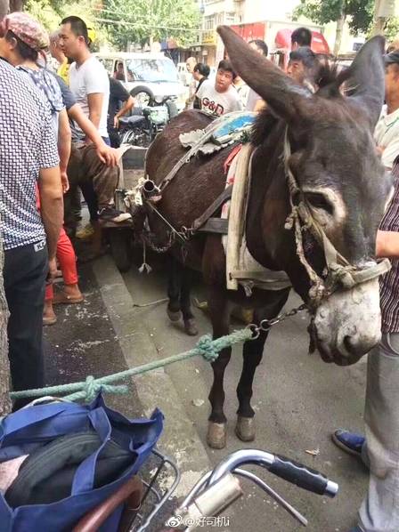 XYZ域名和.COM的区别_云服务器4核16G