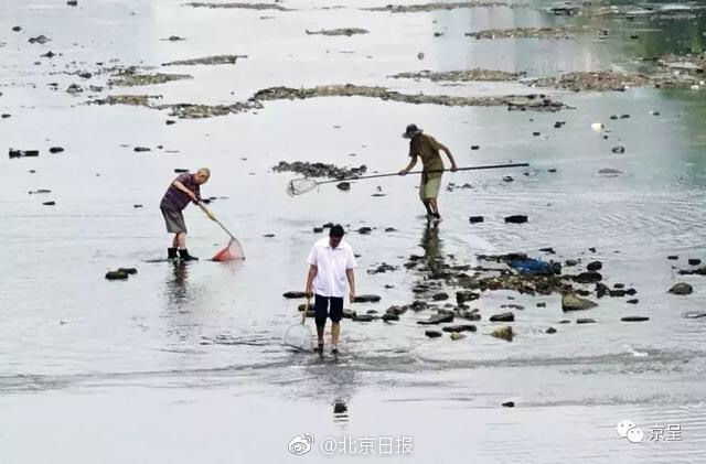 云服务器是卫星吗