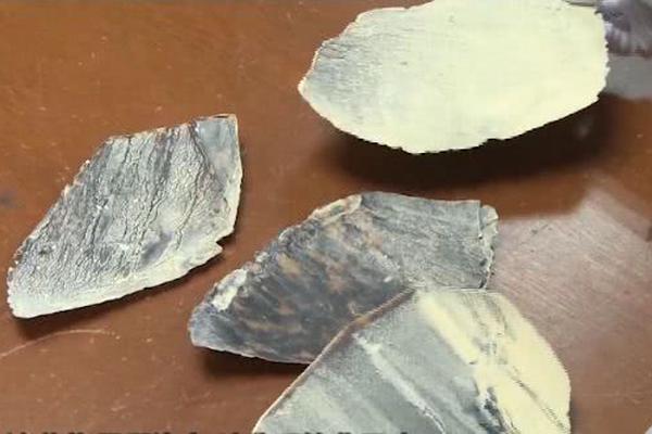 社保基金保值增值需求迫切 配置大蓝筹意愿强_推理服务器