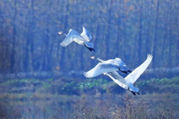 FTP服务器和普通服务器有哪些区别