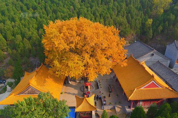 超跌反弹临界点耐心等待_挂机宝测试环境