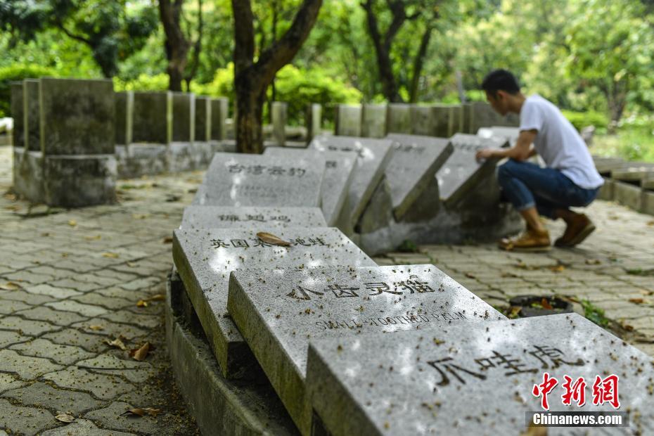 绝地求生新系统武器熟练度上线_香港CN2服务器性价比