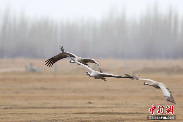 CN2线路_云服务器选购