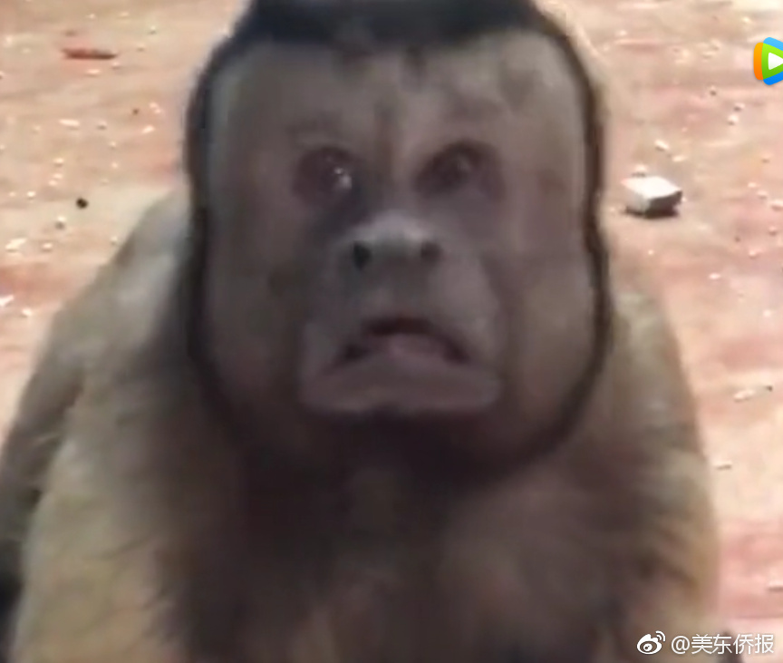 火箭打到最后变6人轮换