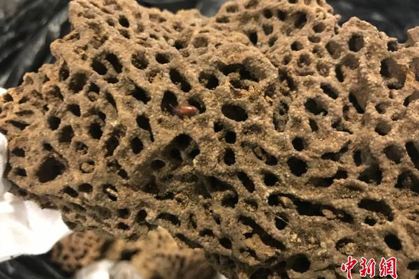 申请自己的网站空间和域名_P4挂机宝