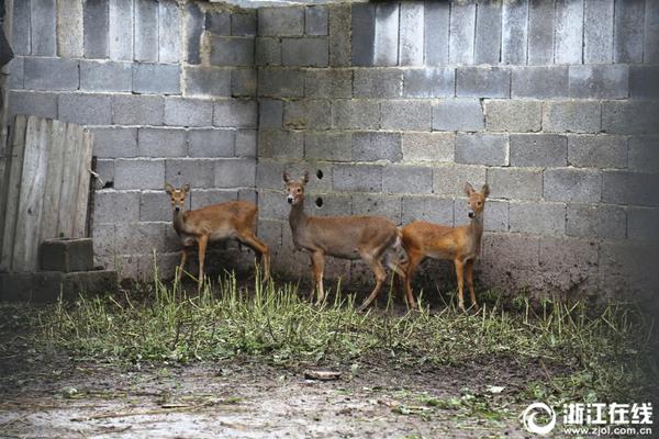 SHOP域名有价值吗_挂机宝月付