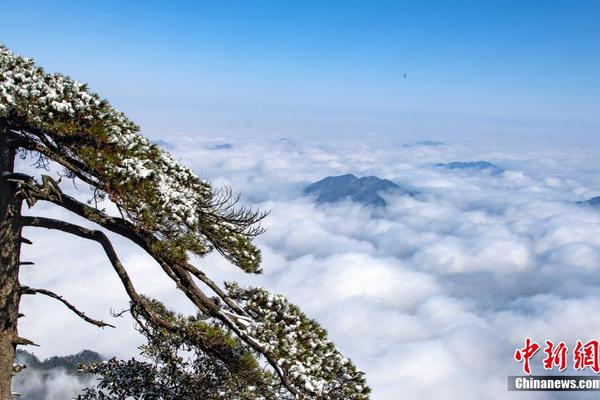 企业邮箱哪家比较好_挂机宝成都