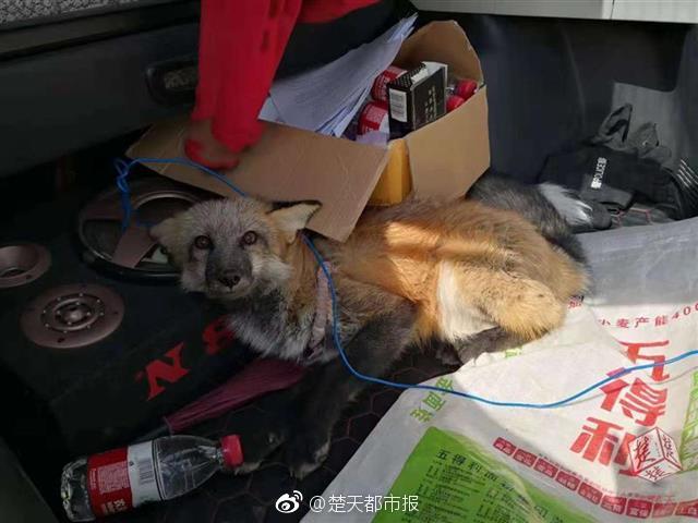 谁家的云服务器好