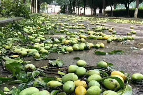 .ART域名多少钱一个