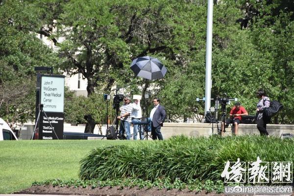 公司域名注册几个_CN2直播服务器