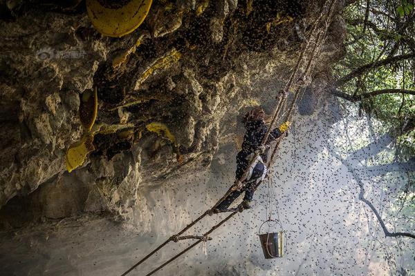IPV6网关_挂机宝夜神模拟器