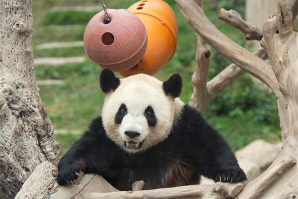 社保缴费比例今起下降至16% 事关你的钱袋子_美国CN2服务器哪家好