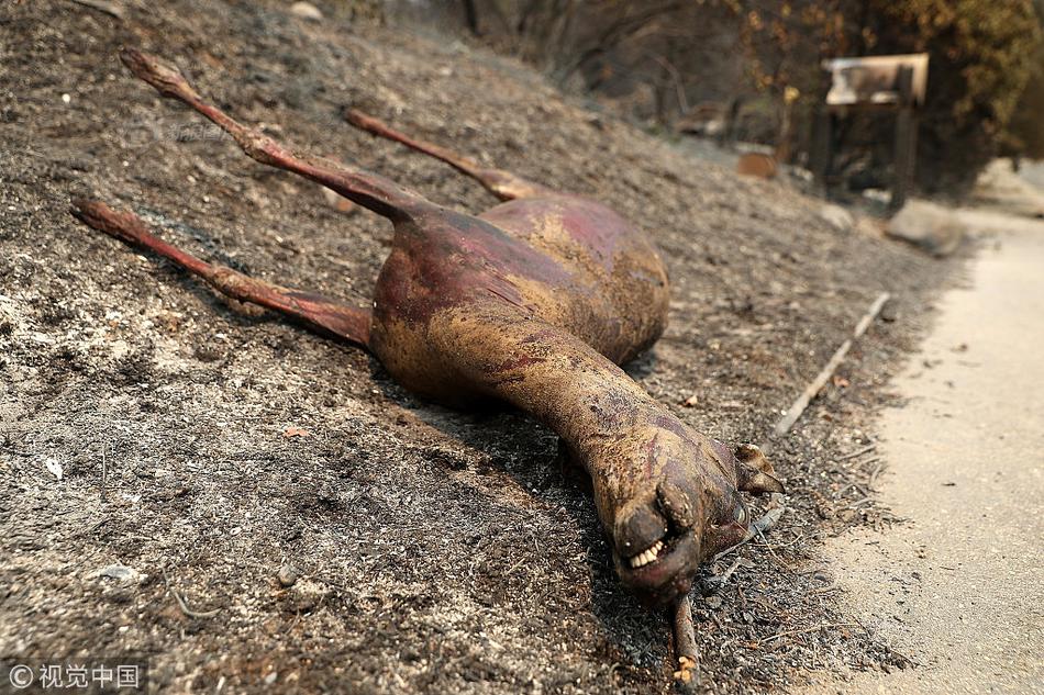 2024双11云服务器限时优惠
