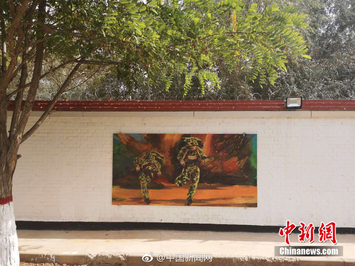 广西云服务器哪家好_CN2服务器推荐