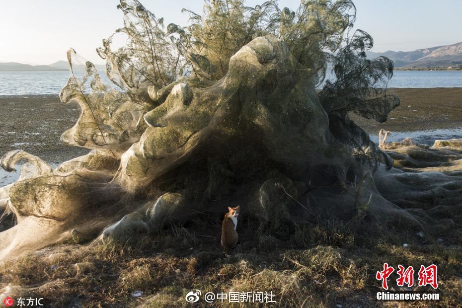 FTP文件下载