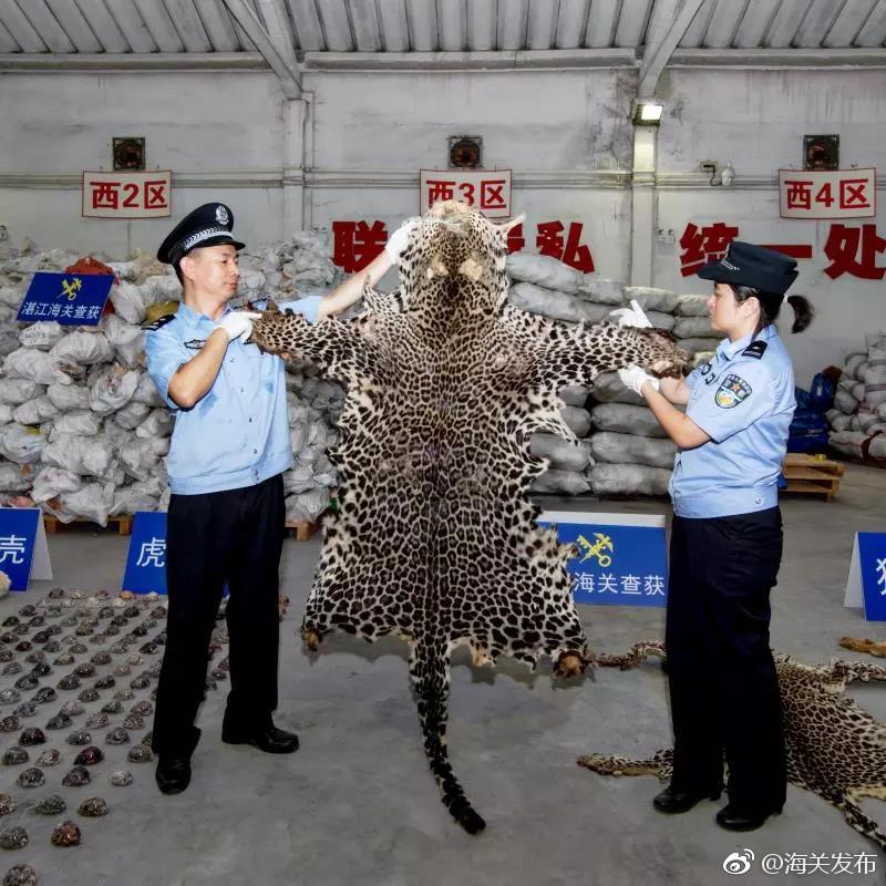 广发宏观：为什么不同行业对景气度感受不同？_云电脑新手教程