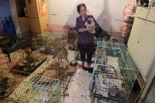 别把孩子当“摇钱树” 童年只有一次