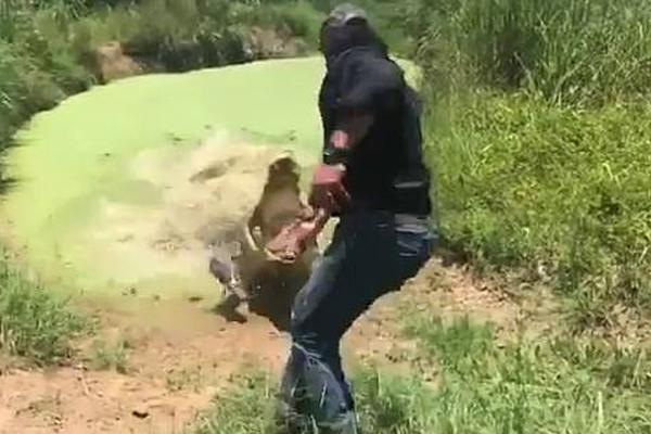 体育馆断电观众手机照亮现场