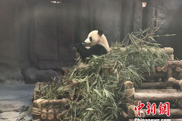 上半年 这些科学新成果或改变你我生活_云端电脑