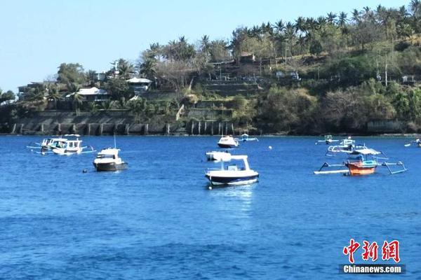 预防头发变白一秘方搞定_挂机宝多核