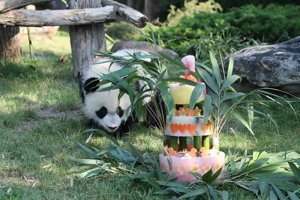 解放战争最能打的新四军纵队