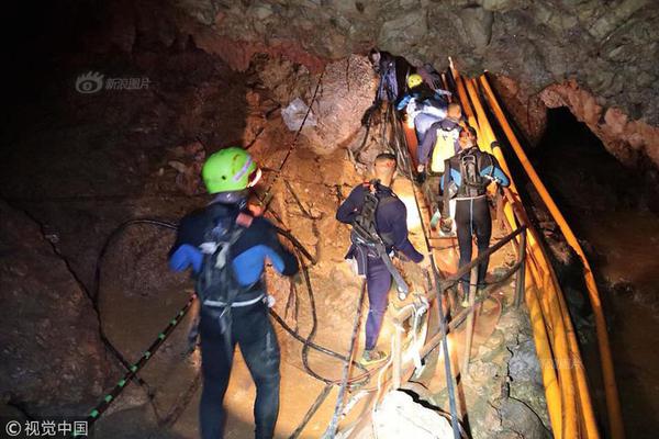 合肥土地市场“狂奔” 70多家企业抢一地